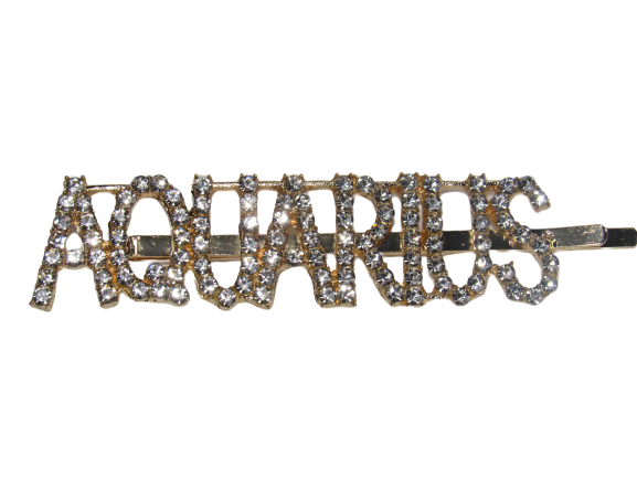 Rhinestone Bobby Pins with Statement Words and Phrases