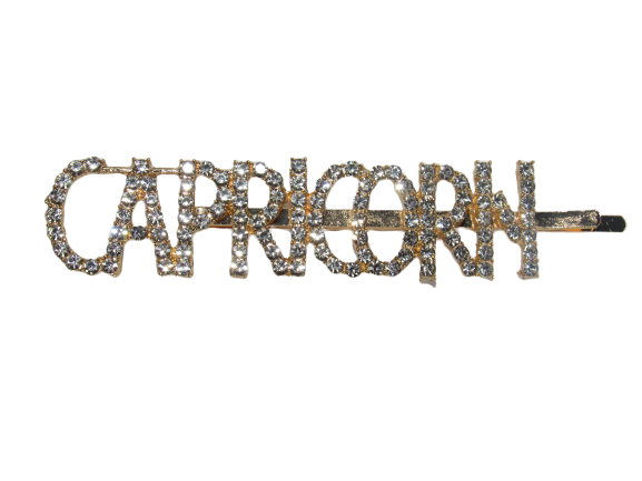 Rhinestone Bobby Pins with Statement Words and Phrases