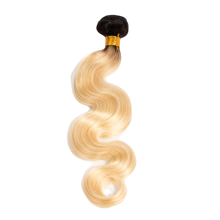 1B - 613 Ombre